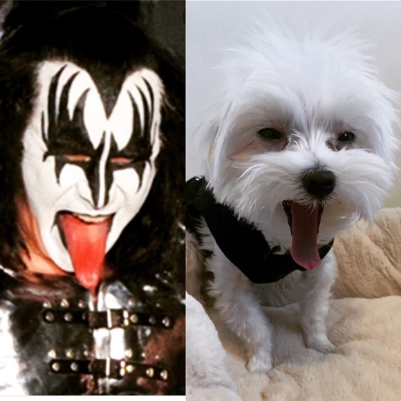 Meet your Posher, Carly ritz - Picture 4 of 7